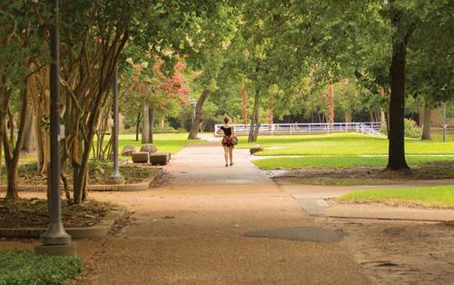 University of Houston